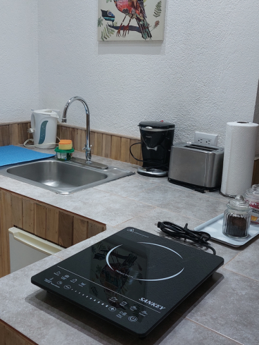 toucan_kitchen_1